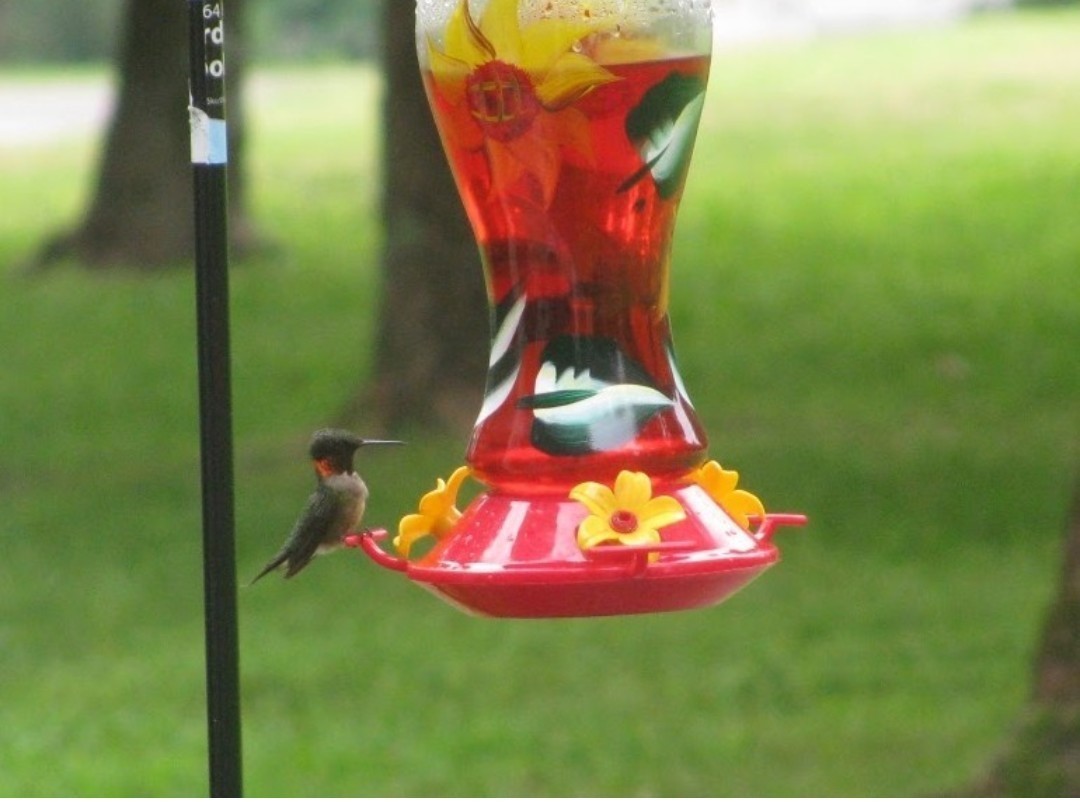 1423 Pack Road White Bluff, TN 37187 - Photo 48 of 50 a view of a wooden floor