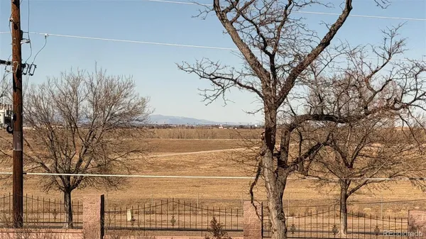 a view of a yard with an trees