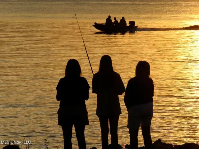 $1,100,000 | 611 Osprey Cove, Brandon, MS 39047