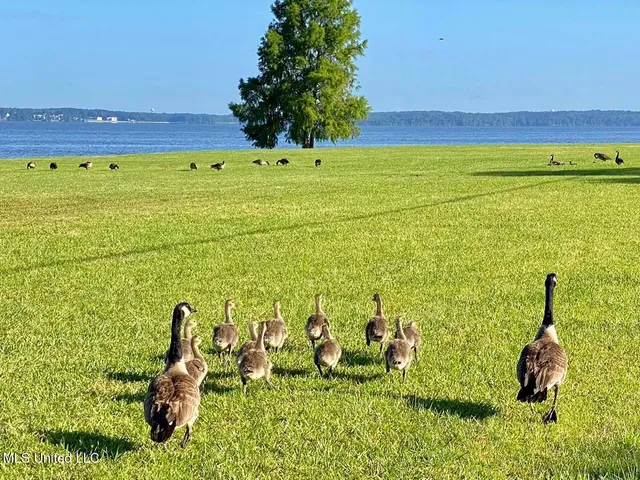 $1,100,000 | 611 Osprey Cove, Brandon, MS 39047