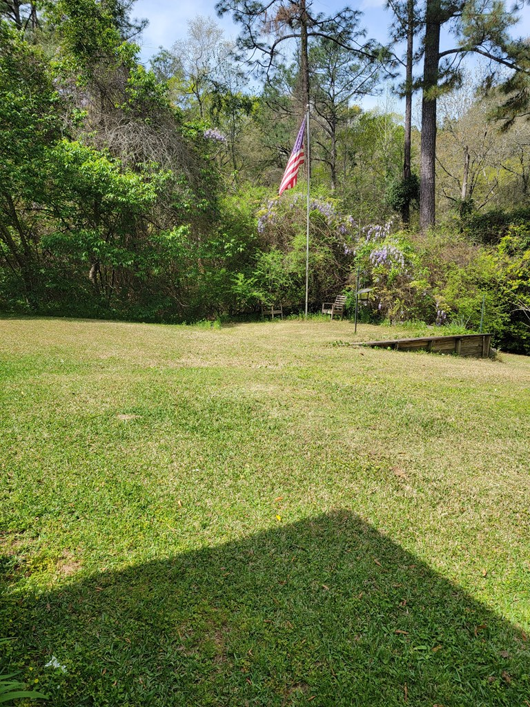612 Beaver Creek Road Dothan, AL 36303 - Photo 42 of 52 Gallery Image 42