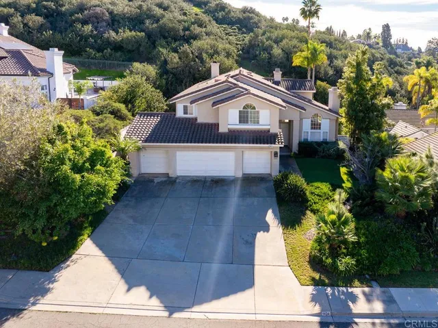 a aerial view of a house with a yard and potted plants