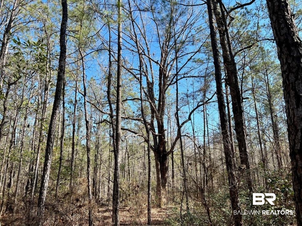 0 Country Road Deer Park, AL 36529 - Photo 37 of 46