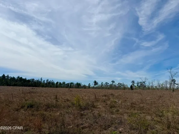 $149,900 | 23-acres Davenport Road, Marianna, FL 32448