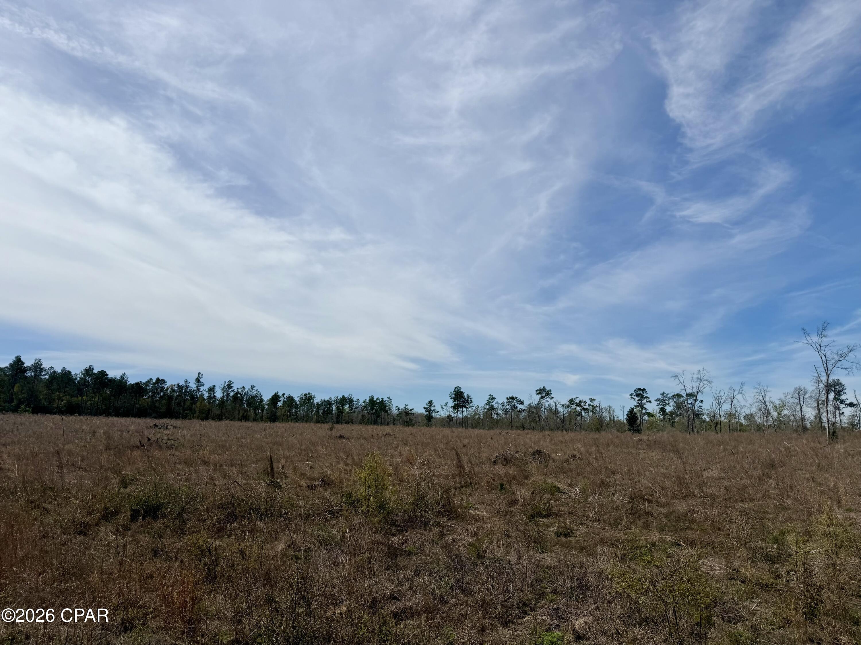 23-acres Davenport Road Marianna, FL 32448 - Photo 1 of 6
