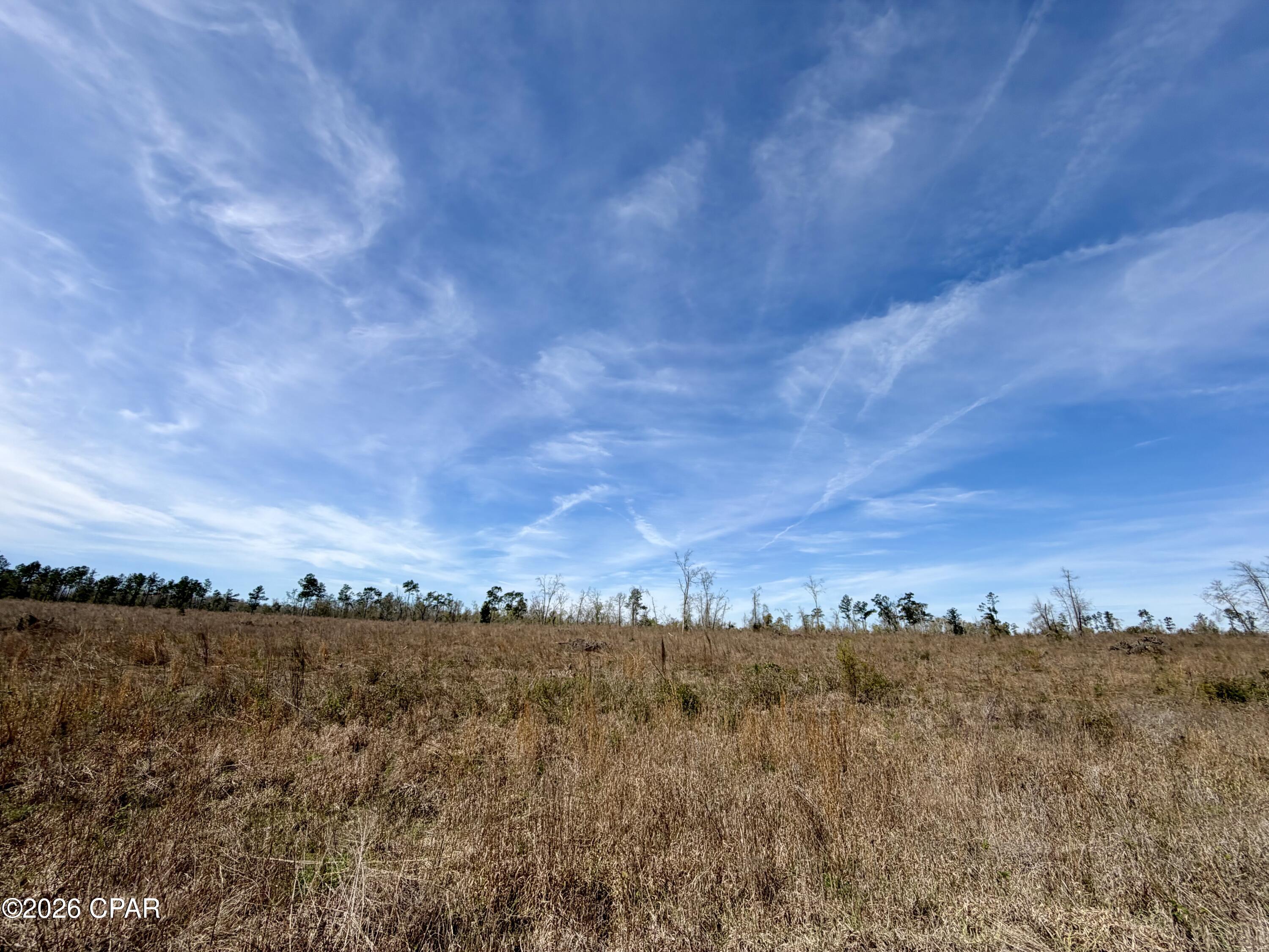 23-acres Davenport Road Marianna, FL 32448 - Photo 2 of 6