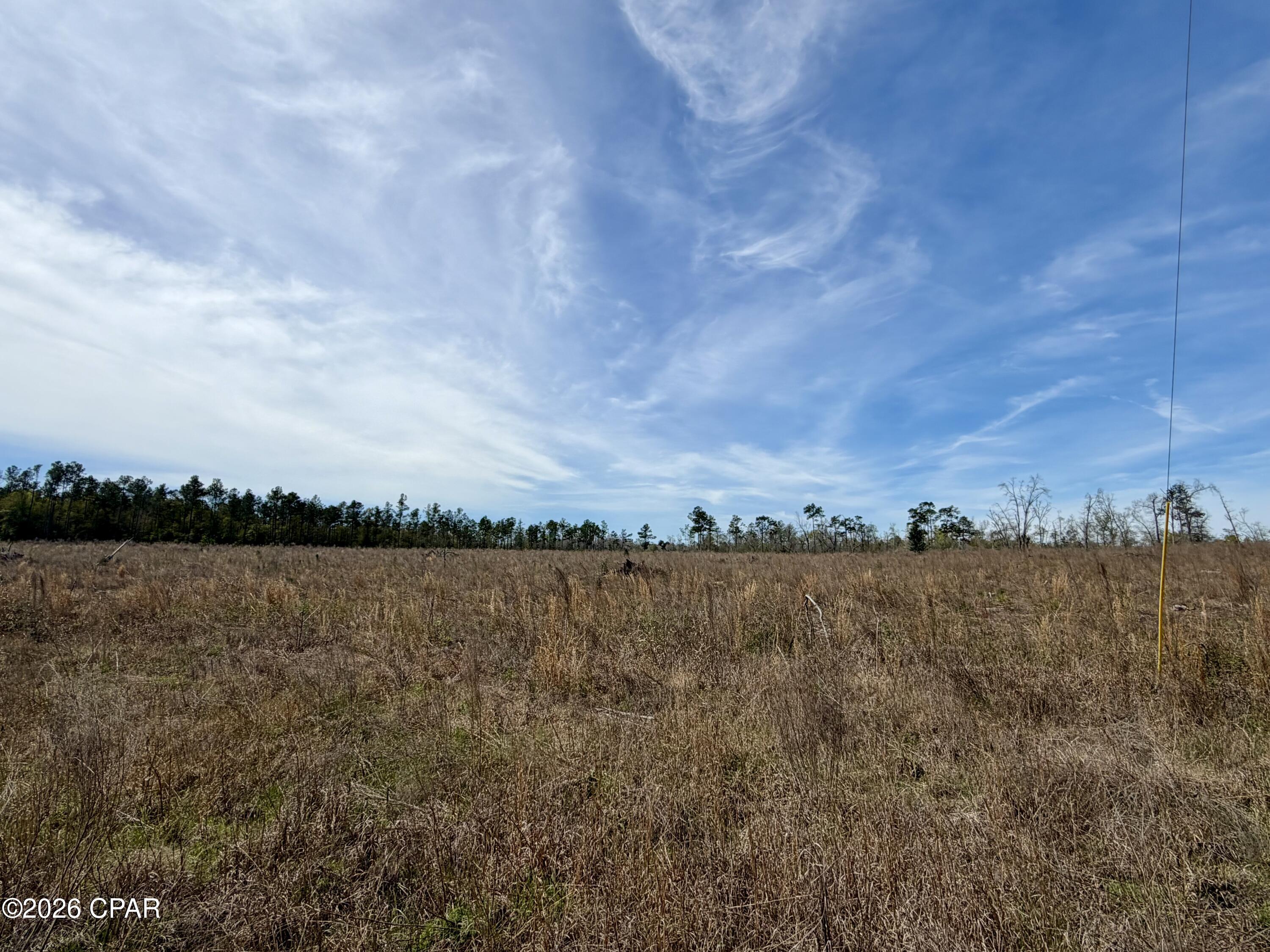 23-acres Davenport Road Marianna, FL 32448 - Photo 4 of 6
