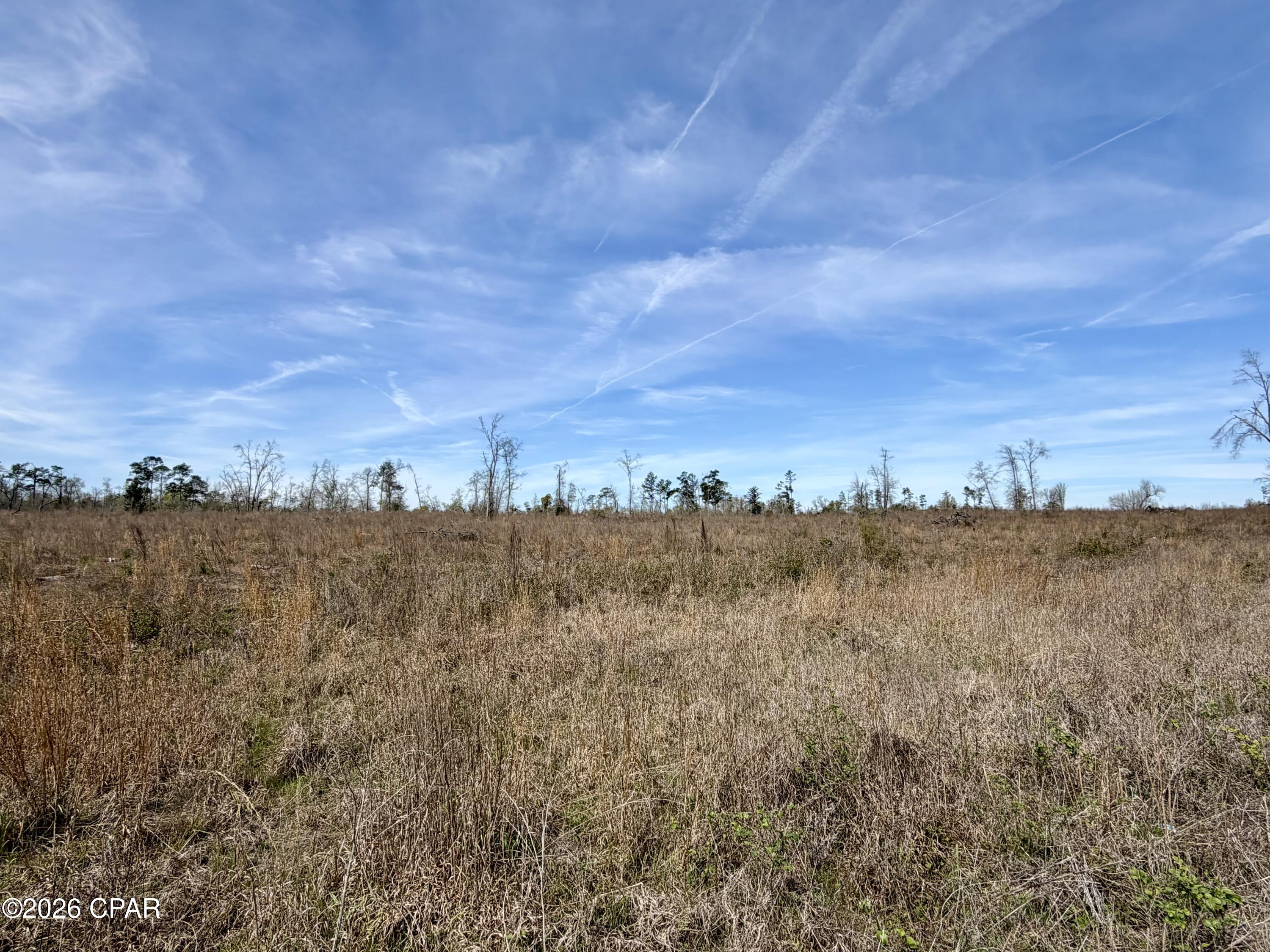23-acres Davenport Road Marianna, FL 32448 - Photo 5 of 6