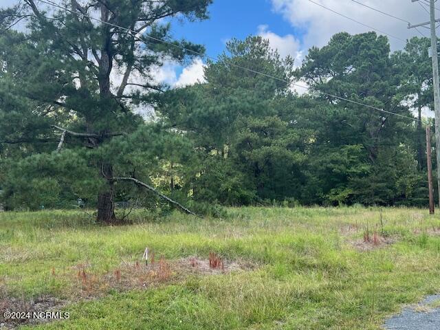 3 Ida Chapel Road Laurel Hill, NC 28351 - Photo 1 of 1 Front