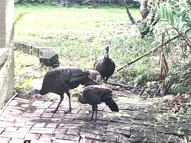 $590,000 | 10662 Crystal Springs Court, Orlando, FL 32825