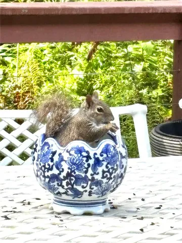 $590,000 | 10662 Crystal Springs Court, Orlando, FL 32825