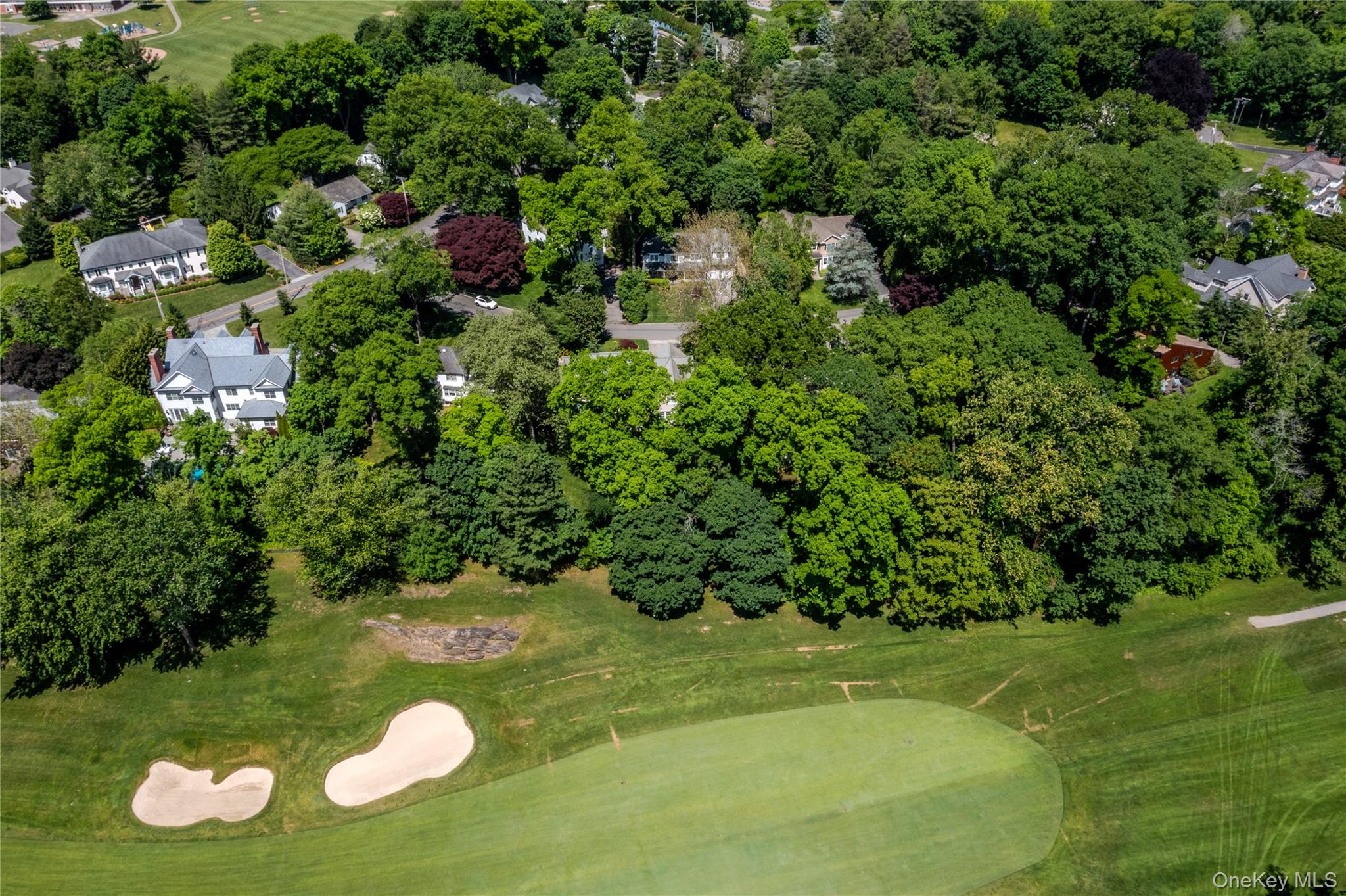 16 Meadow Road Scarsdale, NY 10583 - Photo 42 of 47 a view of a golf course with plants