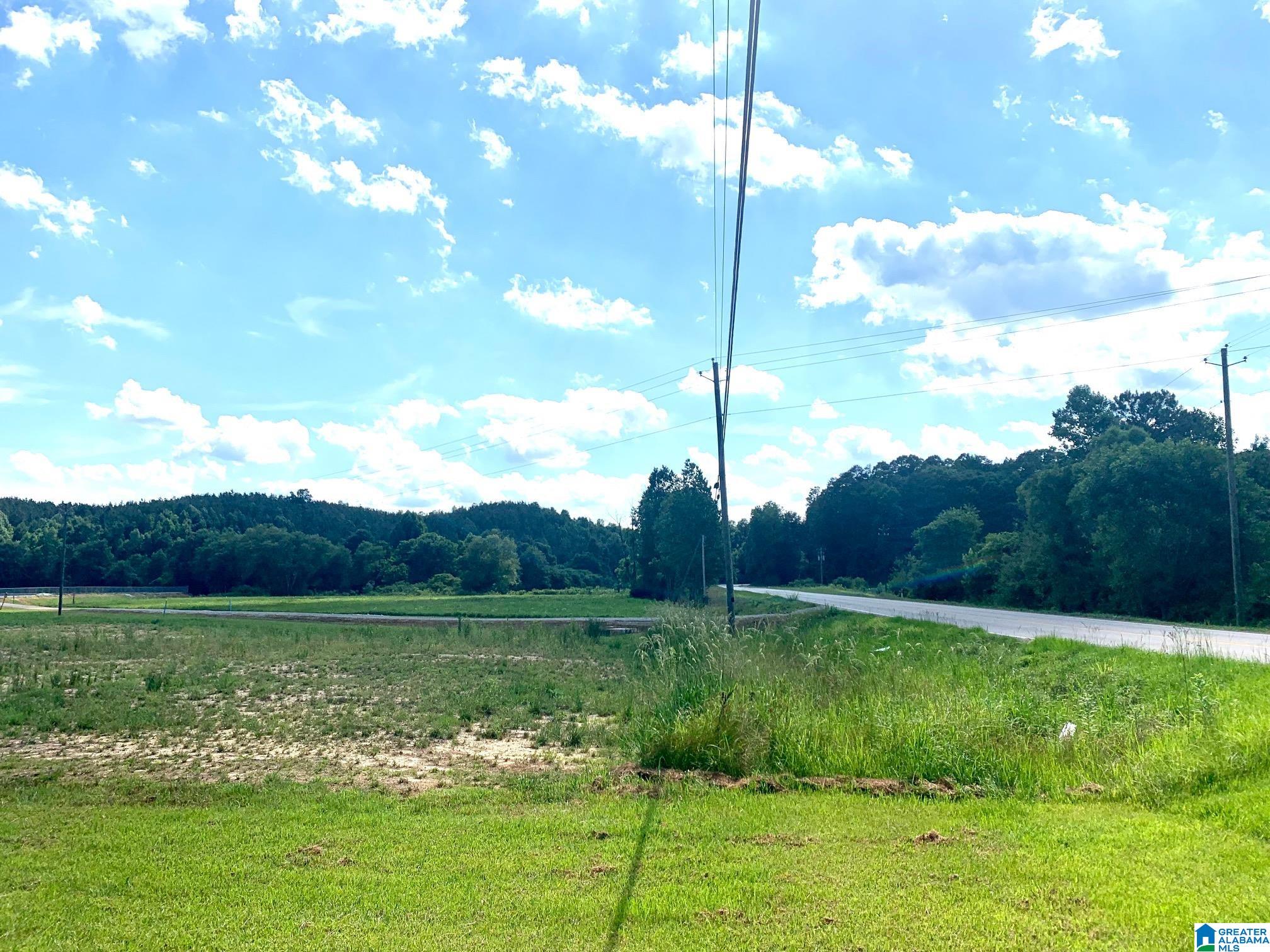 2770 Highway 78 Heflin, AL 36264 - Photo 4 of 23