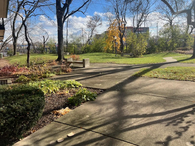 711 South River Road, Unit 511 Des Plaines, IL 60016 - Photo 23 of 23 a view of a park
