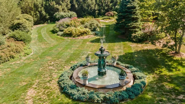 a view of a garden with large trees