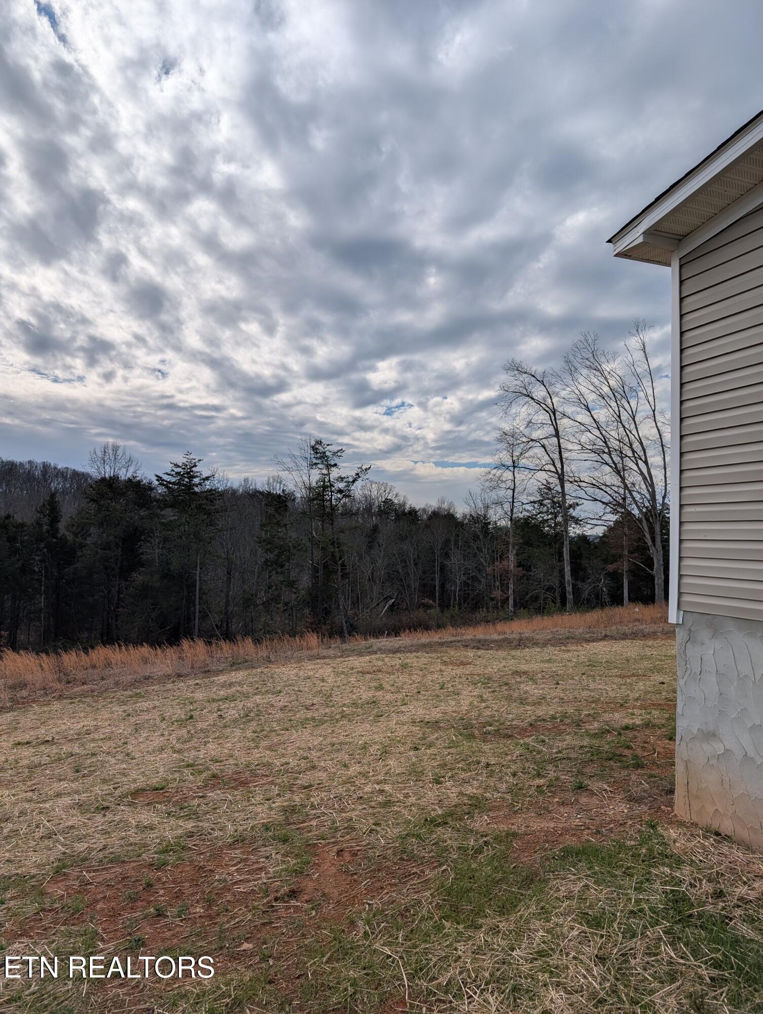 269 Laura Boling Loop Road Strawberry Plains, TN 37871 - Photo 23 of 26 1000001985
