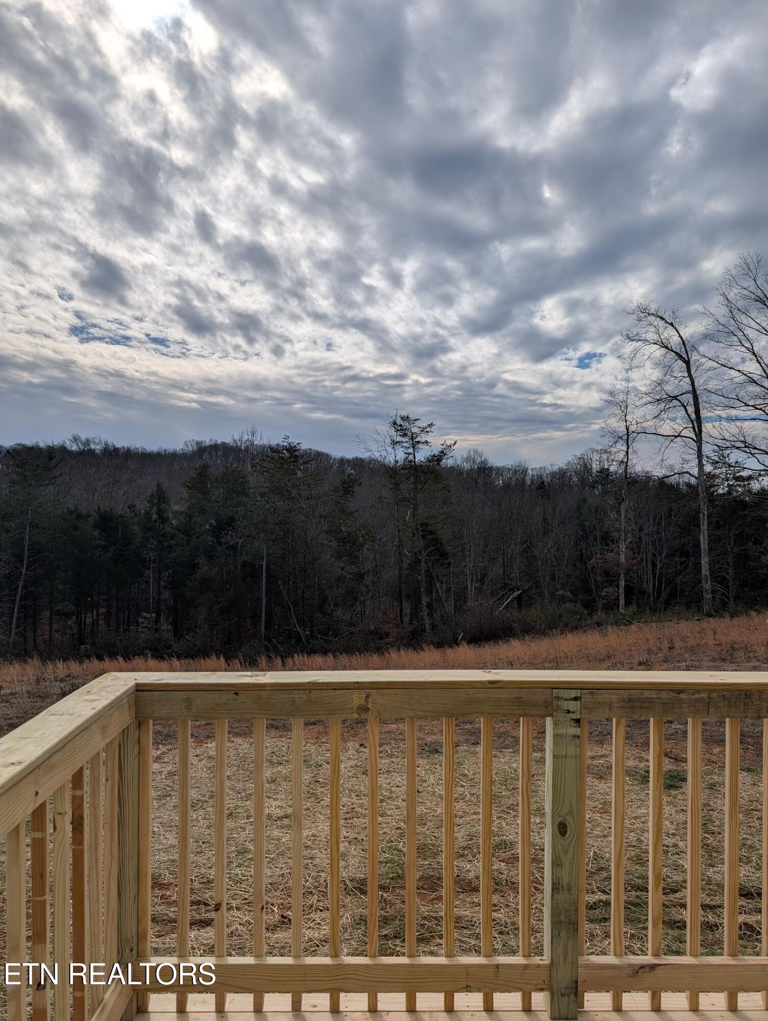 269 Laura Boling Loop Road Strawberry Plains, TN 37871 - Photo 24 of 26 1000001989