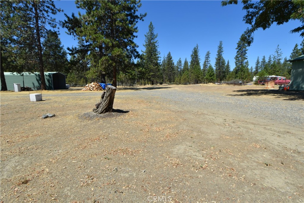5409 Highway 3 Etna, CA 96027 - Photo 32 of 58 a park view with large trees