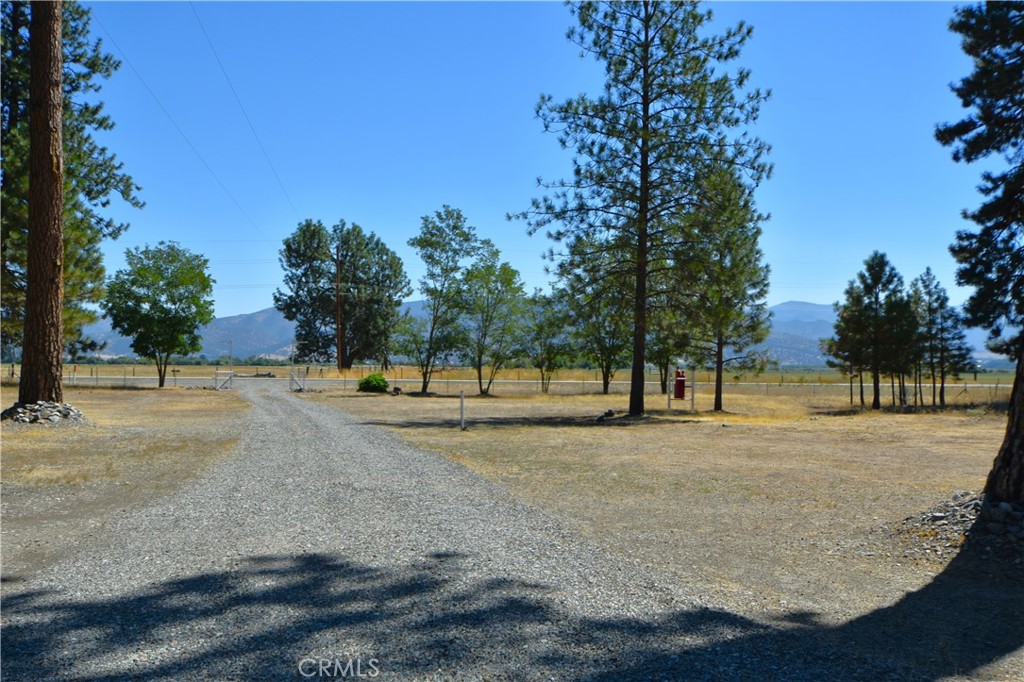 5409 Highway 3 Etna, CA 96027 - Photo 45 of 58 a view of dirt yard with a large tree