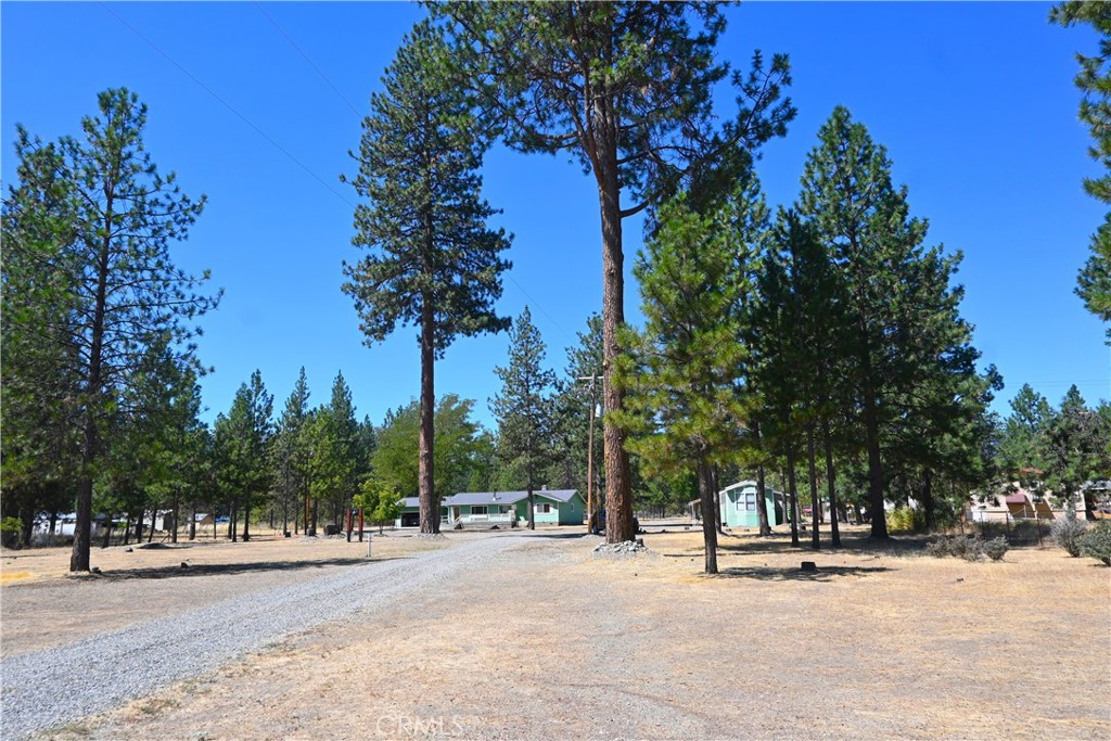 5409 Highway 3 Etna, CA 96027 - Photo 53 of 58