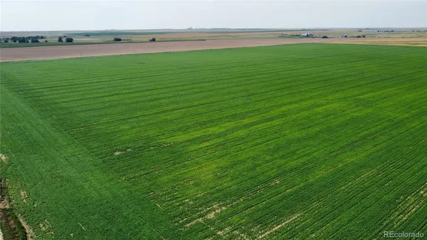 a view of a field with an ocean view