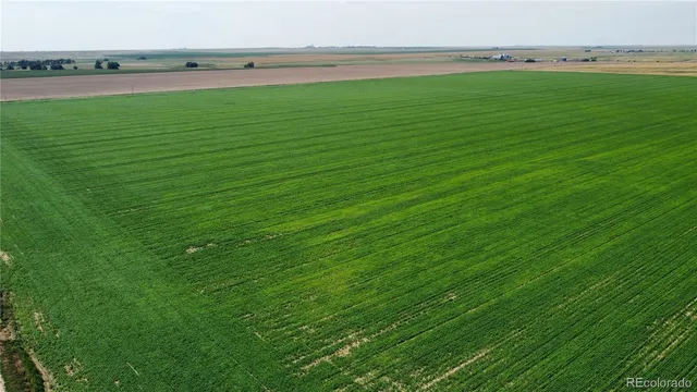 a view of a field with an ocean view