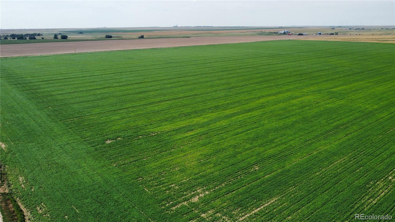 a view of a field with an ocean view