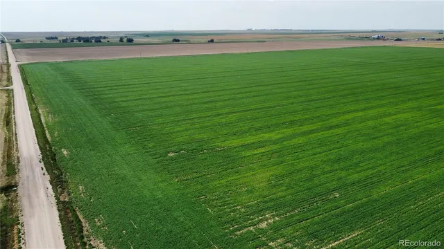 a view of a field with an ocean view