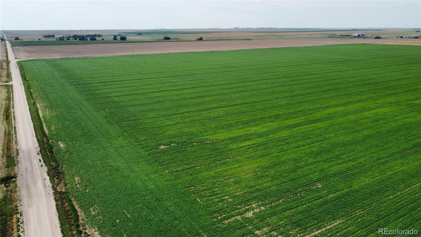 33 County Road Genoa, CO 80818 - Photo 18 of 20 a view of a field with an ocean view