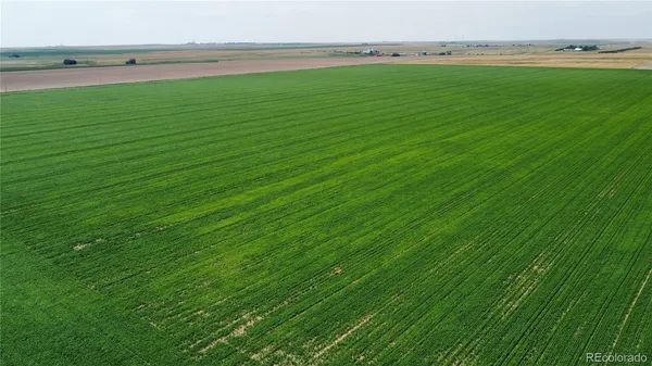 a view of a field with an outdoor space
