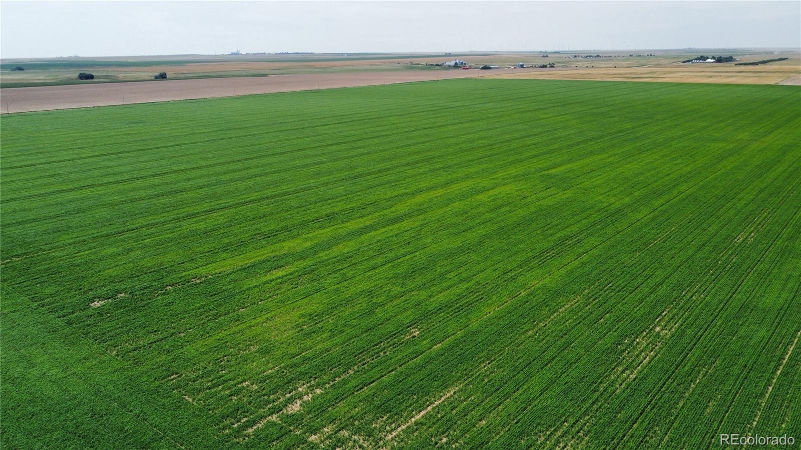 33 County Road Genoa, CO 80818 - Photo 20 of 20 a view of a field with an outdoor space