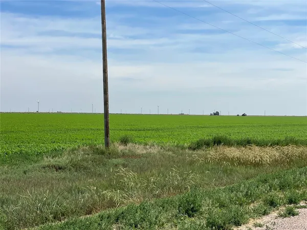 a view of a field with an ocean view