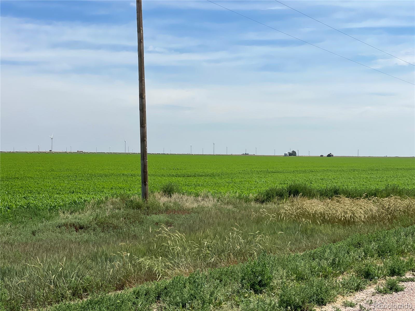 33 County Road Genoa, CO 80818 - Photo 2 of 20 a view of a field with an ocean view
