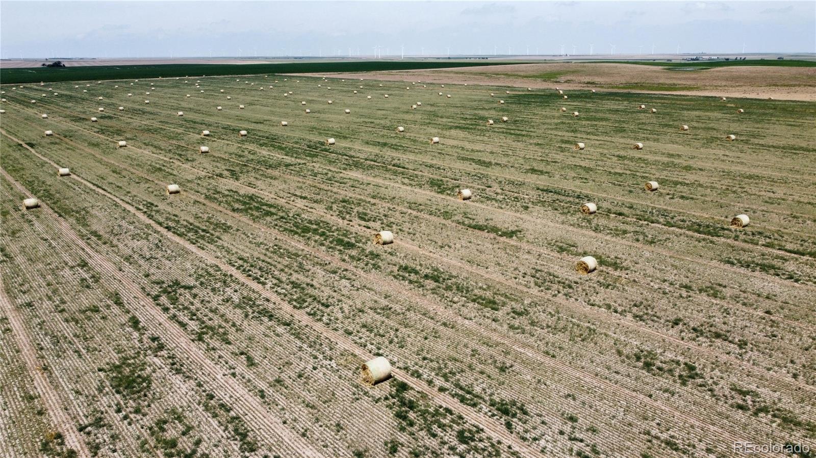 33 County Road Genoa, CO 80818 - Photo 3 of 20 a view of an ocean