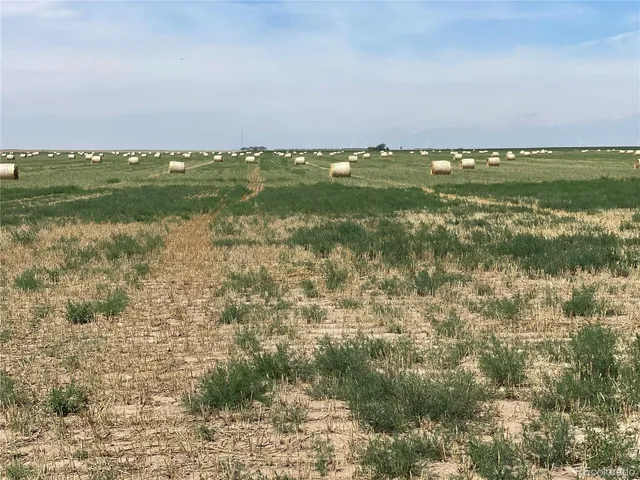 a view of a lake with a city
