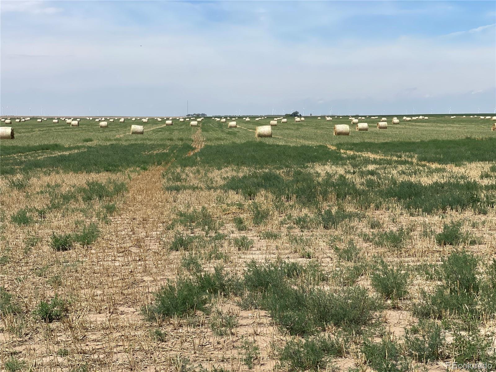 33 County Road Genoa, CO 80818 - Photo 4 of 20 a view of a lake with a city