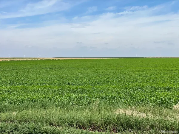 a view of a field