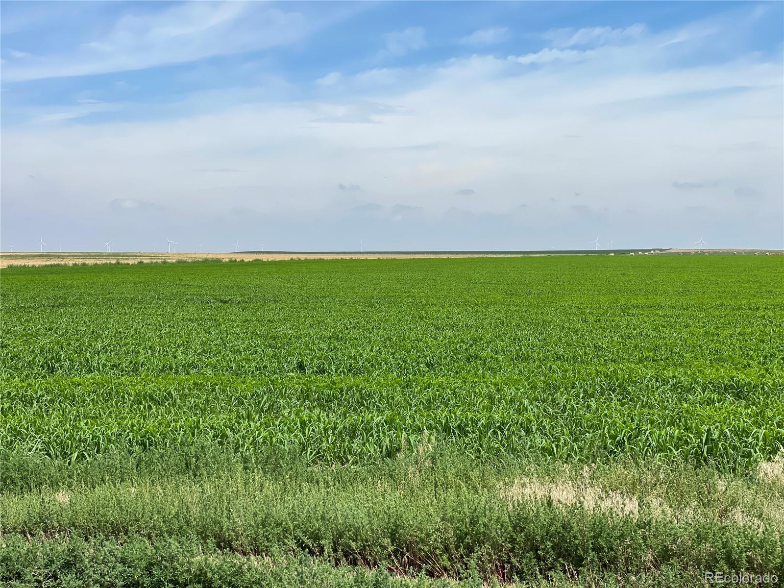 33 County Road Genoa, CO 80818 - Photo 5 of 20 a view of a field