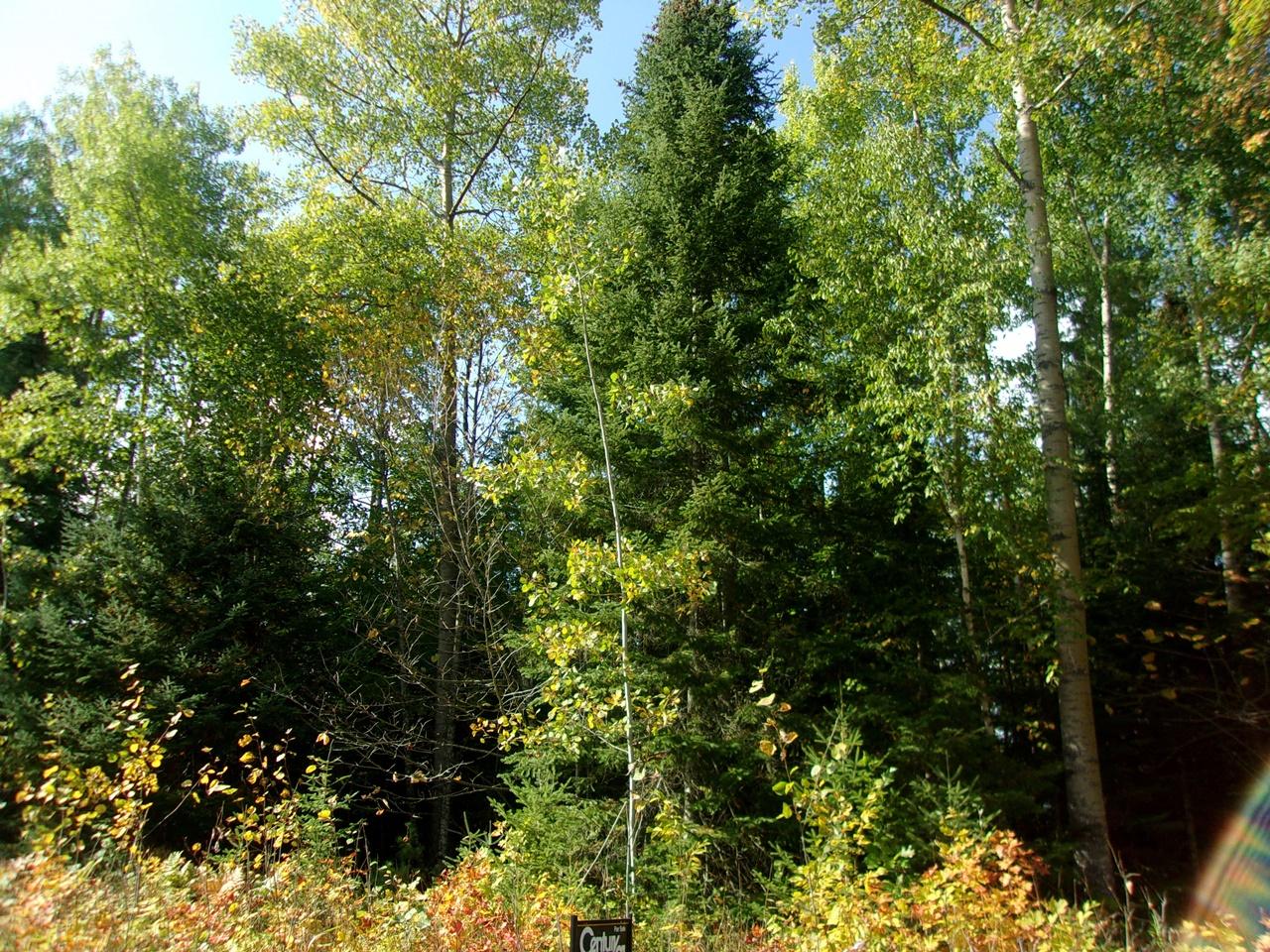 Lot 25 Cth Ff Mercer, WI 54547 - Photo 12 of 12 Gallery Image 12