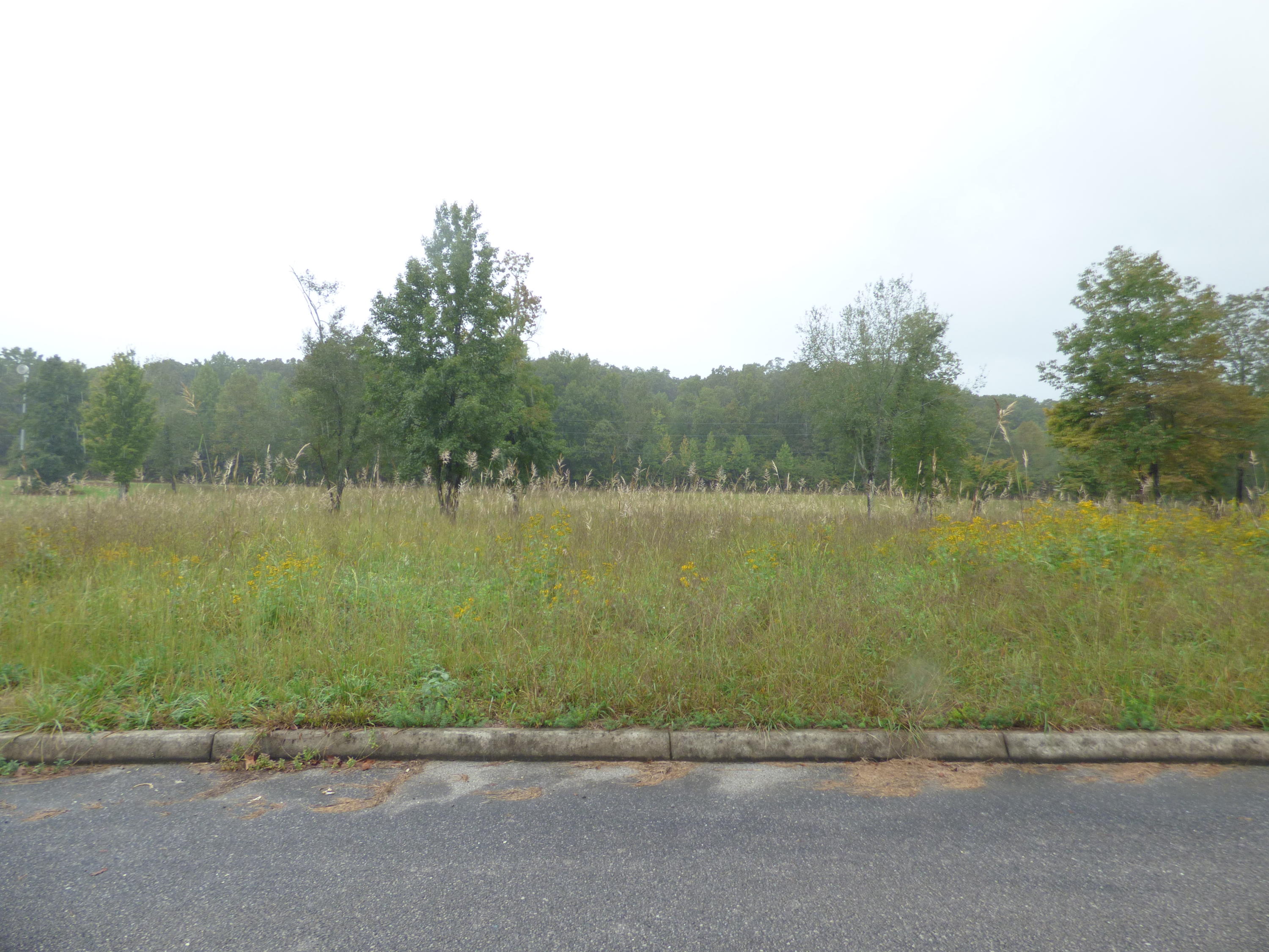 Stump Hollow Rd Spring Spring City, TN 37381 - Photo 3 of 12 P1060479
