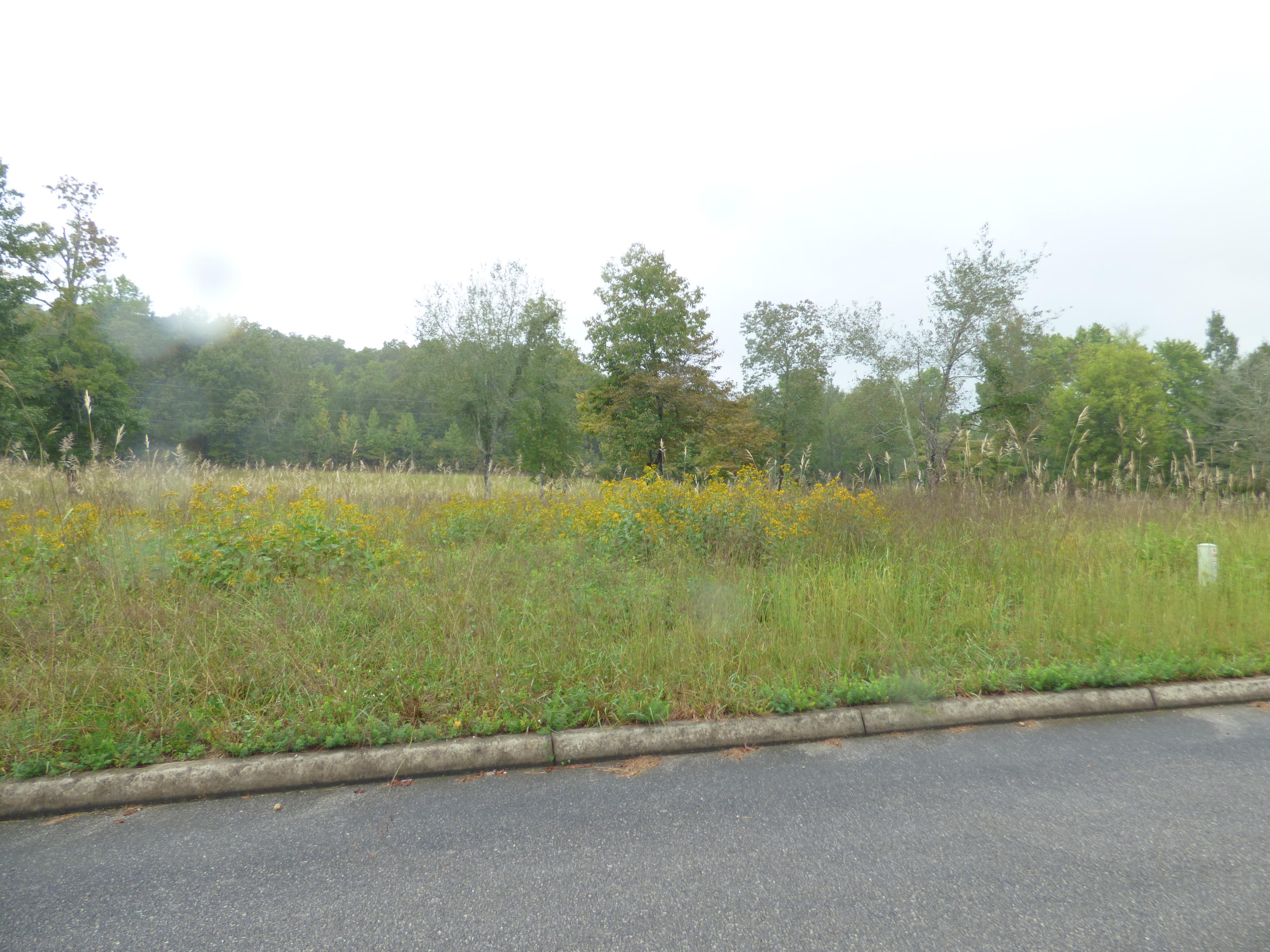 Stump Hollow Rd Spring Spring City, TN 37381 - Photo 4 of 12 P1060480