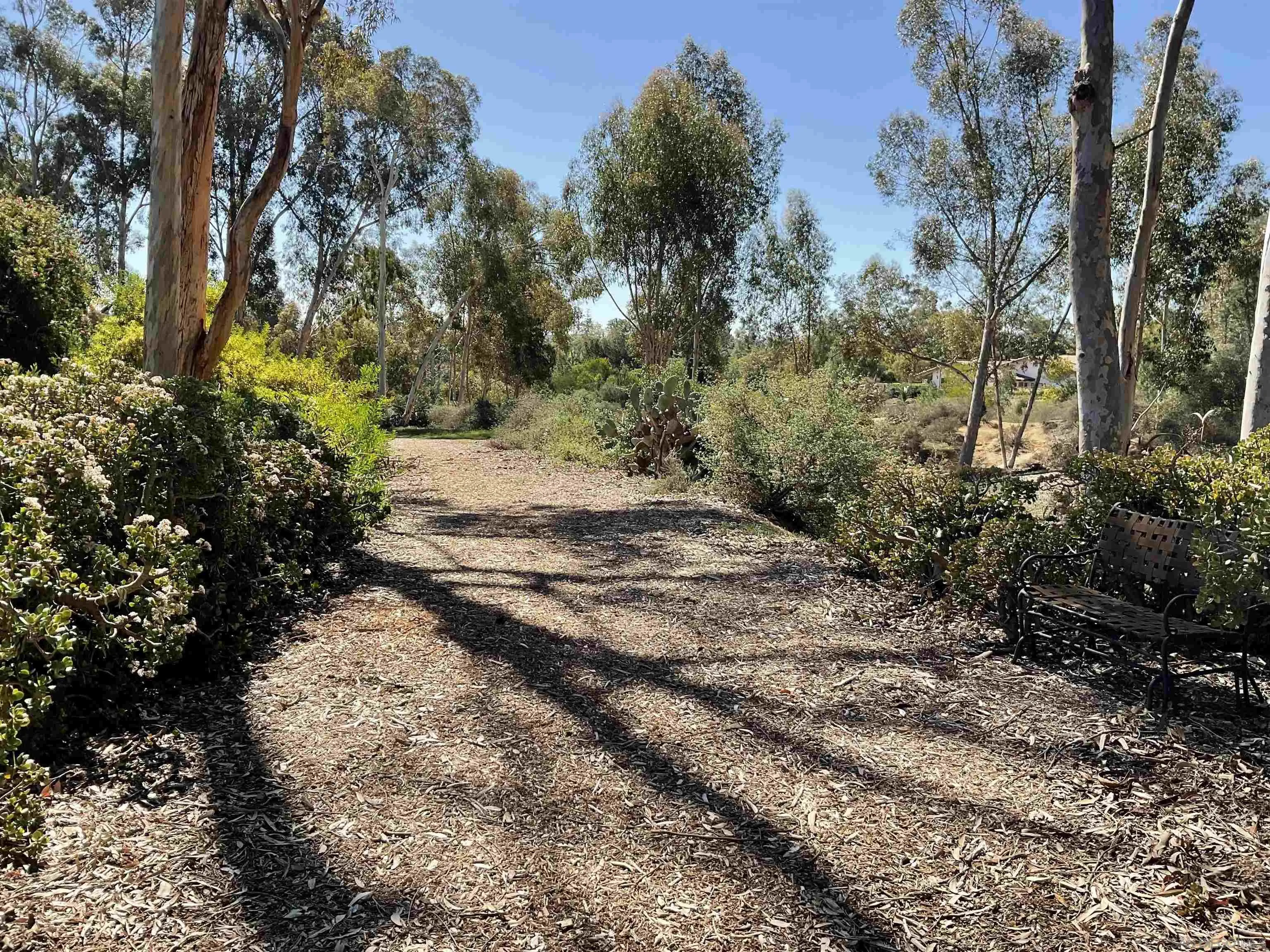 17532 Los Eucaliptos Rancho Santa Fe, CA 92067 - Photo 37 of 39 a view of a dirt pathway both side of house