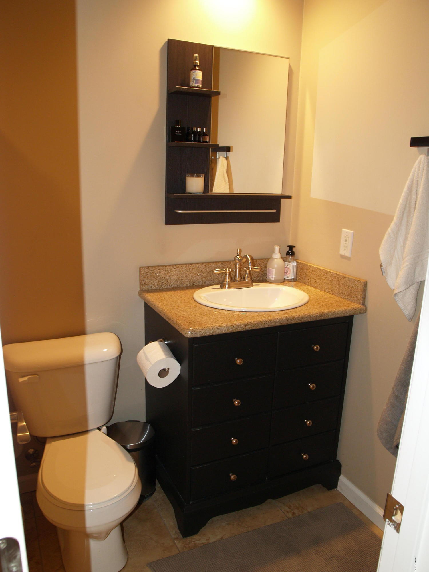 3702 East Nisbet Road Phoenix, AZ 85032 - Photo 6 of 13 Hall Bathroom