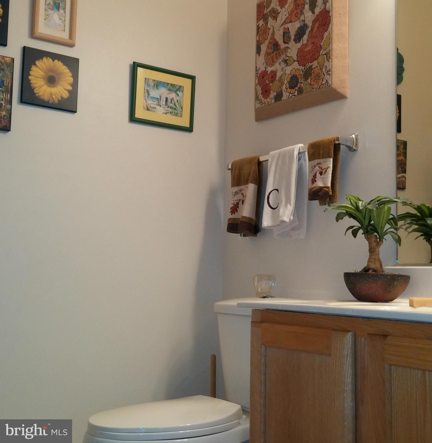 13571 Ryton Ridge Lane Gainesville, VA 20155 - Photo 14 of 28 Bath