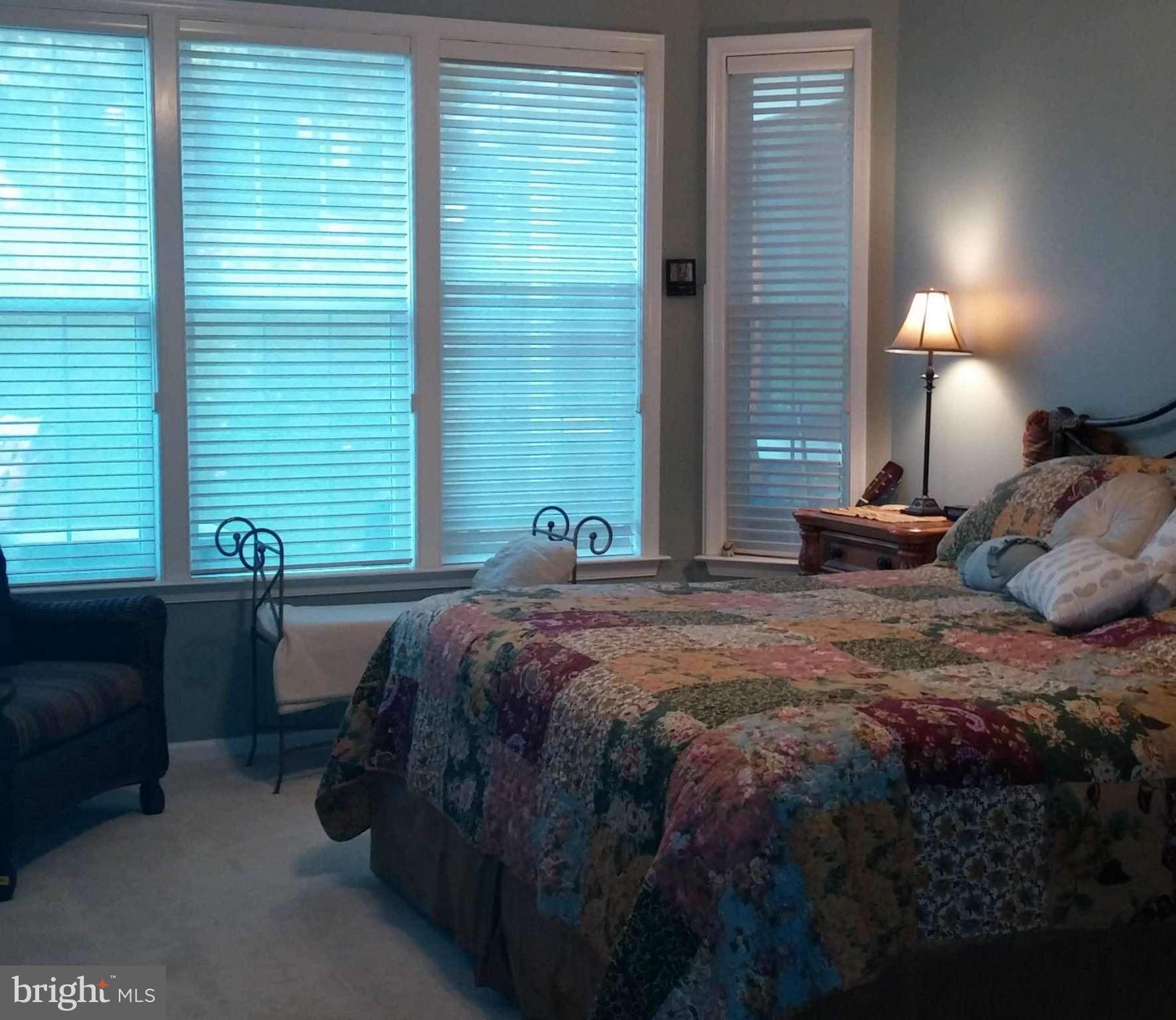 13571 Ryton Ridge Lane Gainesville, VA 20155 - Photo 10 of 28 Bedroom (Master)
