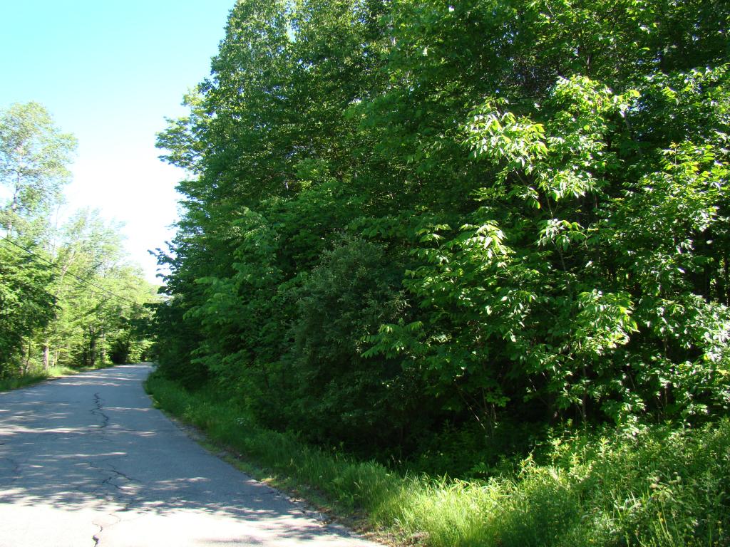 L/o North Groton Road Rumney, NH 03266 - Photo 6 of 7