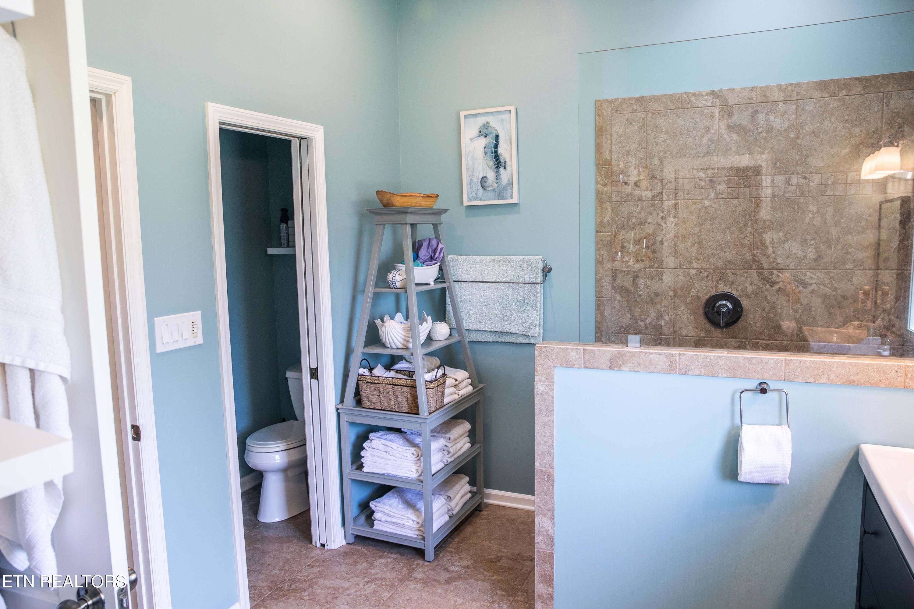 339 Eagles Ridge Tazewell, TN 37879 - Photo 12 of 23 Bath1-2