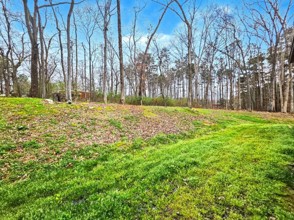453 Mulberry Rock Road Temple, GA 30179 - Photo 28 of 35 a fire hydrant in the middle of a field