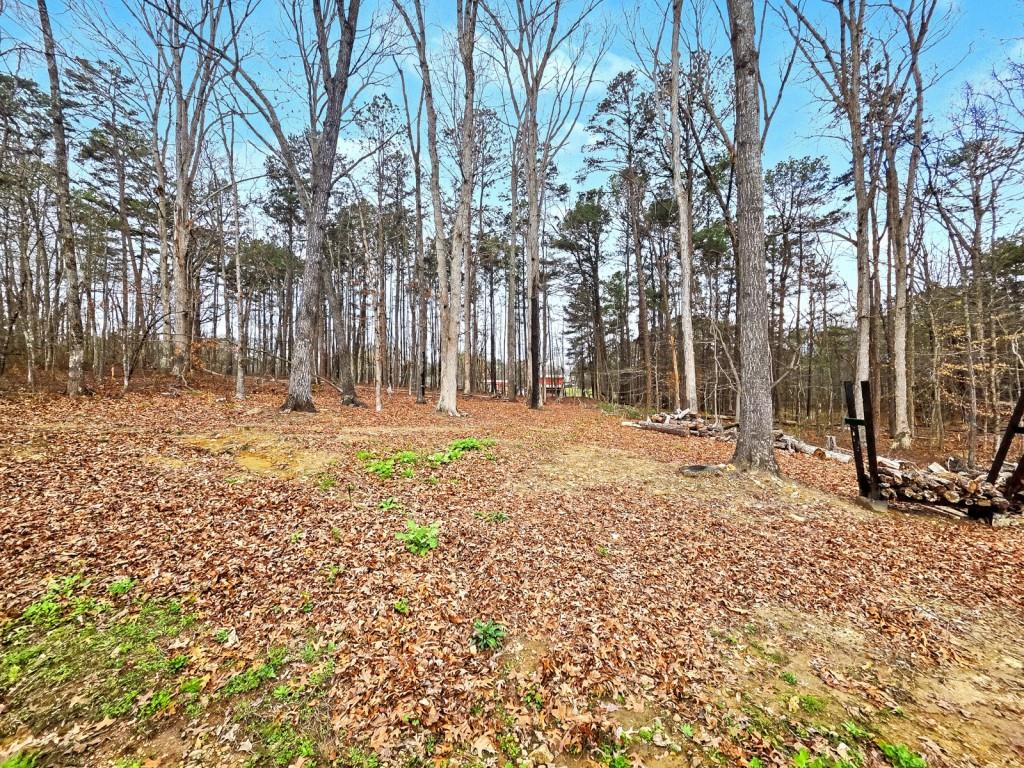 453 Mulberry Rock Road Temple, GA 30179 - Photo 31 of 35 a backyard of a house with lots of green space