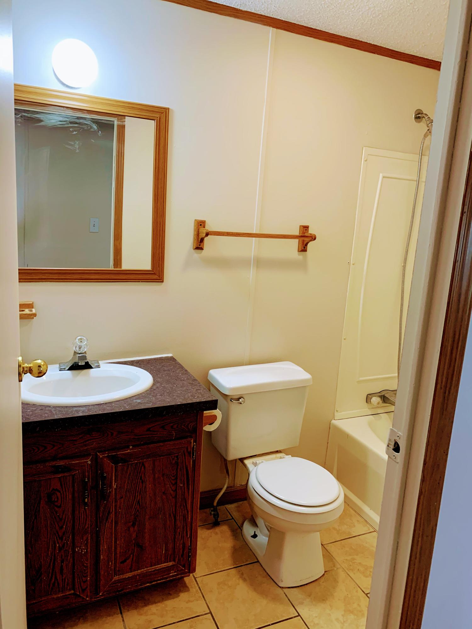 260 Quillen Shell Road Greeneville, TN 37745 - Photo 20 of 32 Bathroom in hallway between bedrooms